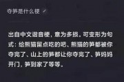 娱乐吃瓜资料来源于哪里,揭秘娱乐圈吃瓜资料的来源与传播